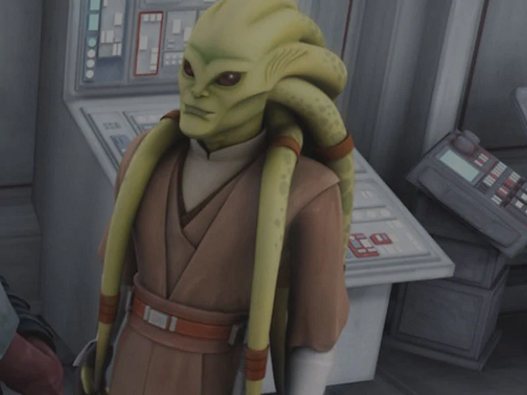 Kit Fisto