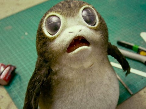 Cute Porg