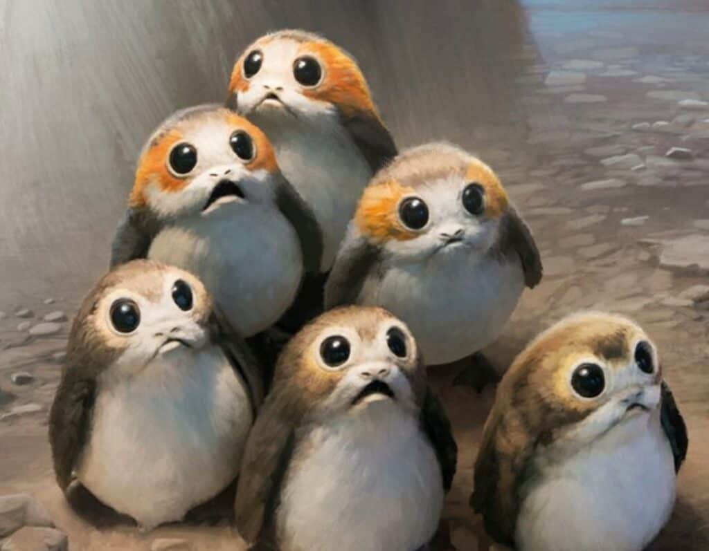 Porg