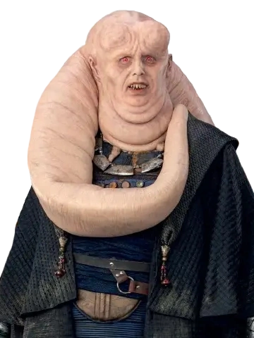 Bib Fortuna